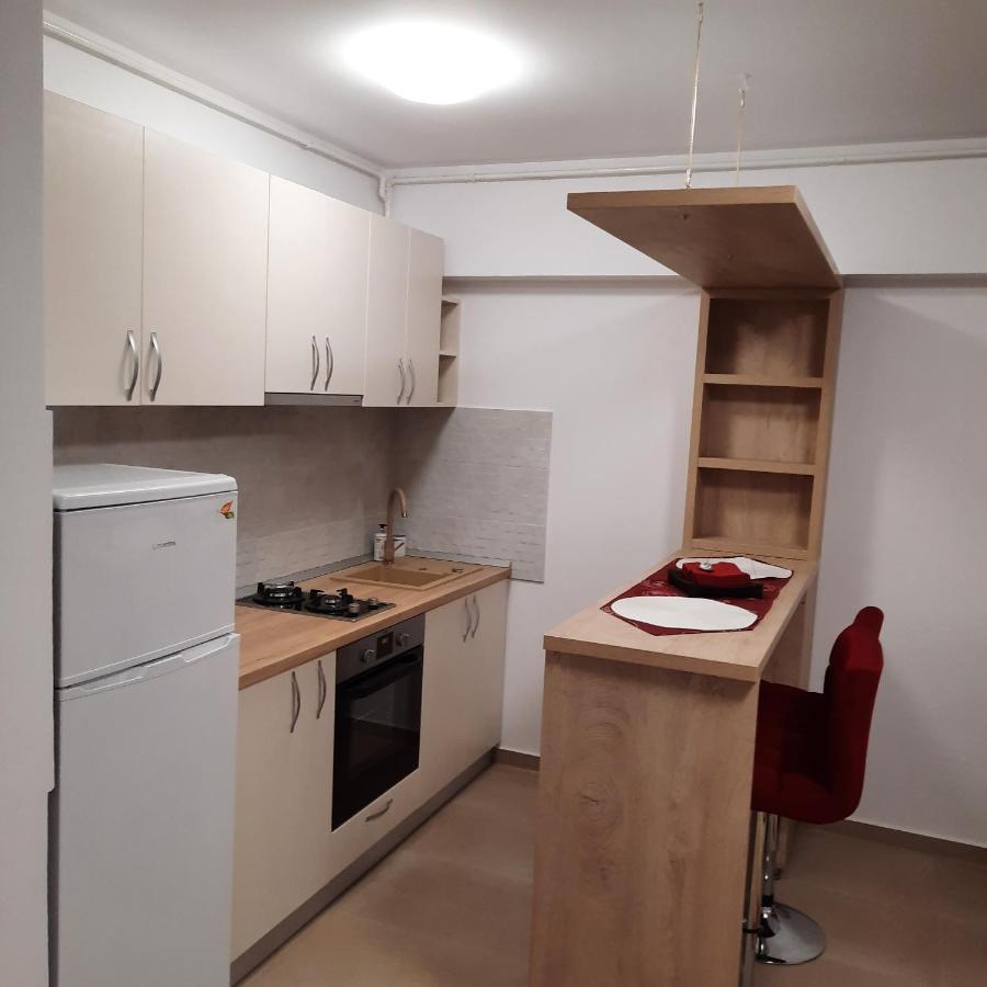 Apartmán Studio Adela Iasi Exteriér fotografie