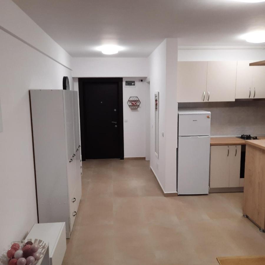 Apartmán Studio Adela Iasi Exteriér fotografie